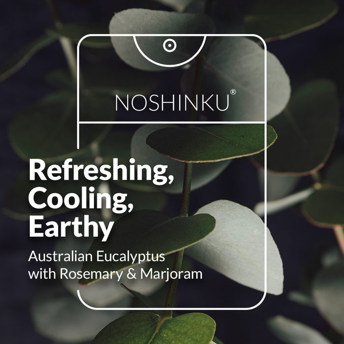 Refillible Eucalyptus Hand Sanitizer